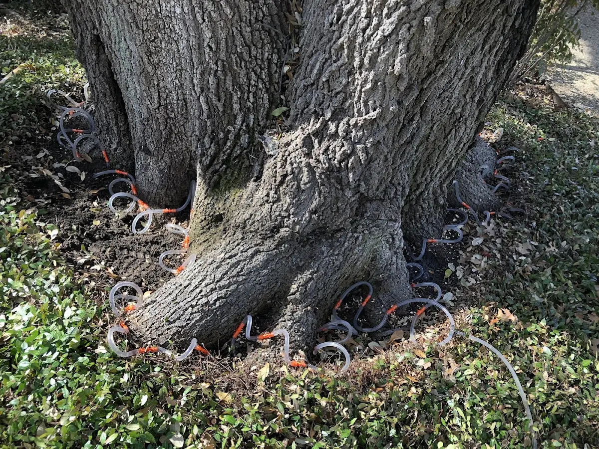 Detailed Shrub and Hedge Trimming job site in New Athens